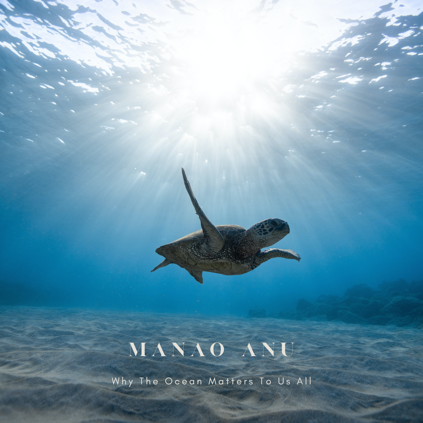 Why the Ocean matters to us all. How We Can Impact In A Positive Way.
